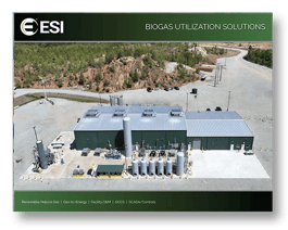 ESI - Biogas Solutions & Services Overview - Flip book